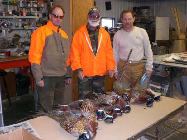 south dakota Pheasants