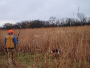 Hunting Dog, on the job